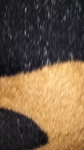 تقلب عشان القران #الله_اكبر #الله_اكبر #الله #الله 