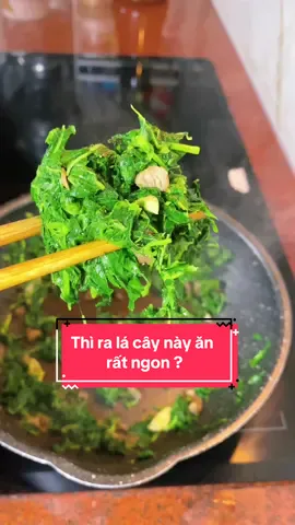 Ra cái cây này trước giờ chỗ tui chồng toàn lấy cũ ăn không hà , hổng ai biết lấy lá ăn hết cho mấy bà ##bepcuagiao##LearnOnTikTok##viral##viralvideo##review##reviewanngon##lasan##khoaimi