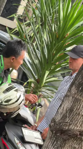 Kalian sangat menyukai format permainan kami! 🤩 Jadi, kami ingin menghibur Anda dengan video baru! Coba tebak, kali ini apakah saya akan dibantu atau tidak? ✅❌