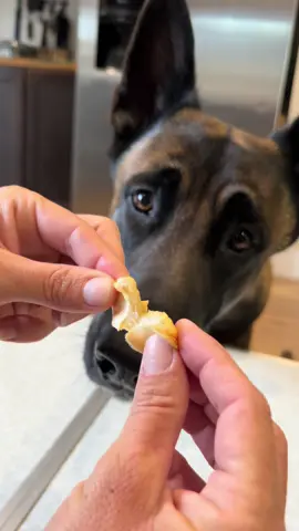 Dog Safe Chips Made From Egg #smartdog #spoileddog #belgianmalinois #superyummy #trainingtreats #egg 