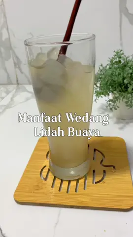 Lidah Buaya banyak sekali maanfaatnya bagi tubuh #lidahbuaya #manfaatlidahbuaya #herbal #masakanbuning #buning #rumahbuning #fyp #VNVideoEditor 