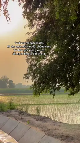 #xh #tiktok #fyp #fypシ #foryou #xuhuongtiktok 