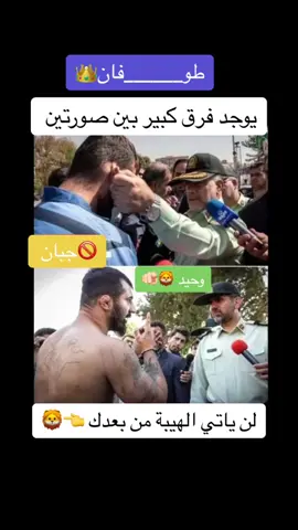 #محبين_وحيد_مرادي_مهدي_اميني🖤 🔥