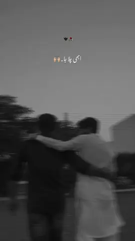دوست نہیں ہوتا۔ 💔 #aestheticvideos #tehzeebhafi #friendship #dosti #urdushairi #capcut ❤️‍🔥