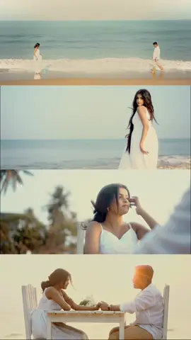 නුඹට ආලෙන් ඇහුවද? Now on Youtube! 🤍 . . Song Name - නුඹට ආලෙන් Song by - @Thashi_Beatz @Nethmini 🤎  . . #nubataalen #newsong #foryoupage #fyp #foryour #fypシ #tiktoksrilanka #tiktok #srilanka #trending #viral #onemillionaudition #whatsappstatus #headphones #lyrics #viral #felling #live #sinhala #longervideos #following #elonvibez 