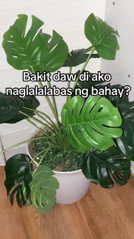 Reason kung bakit di ako lumalabas ng bahay 🥰☺️ #fyp #tiktokearning #affiliatemarketing 