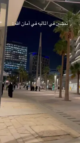 #ksa🇸🇦 #الرياض #الماليه💯⚔️ 