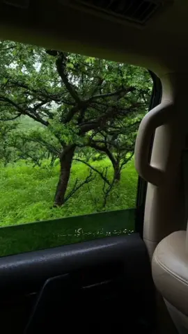 من ته ديت بوو لنافاباخچاگول سوسنادا!#foryou #fyp #fypシ #foryoupage #karwan_kamil #fypシ゚viral #karwankamil #🦅سعيد_بركان_المعروف🦅 #سعيدالمعروف #سعيد_المعروف #karwankamilofficial #duhok #blindibrahem #zakariaabdulla #sa3ed_brkan_sa3ed #sa3ed_algoran 