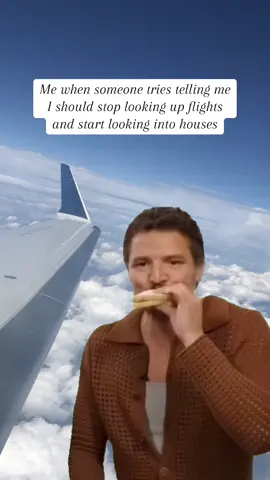 Forever catching flight ✈️  #traveltok #travelthings #ifyouknowyouknow #traveltrends 
