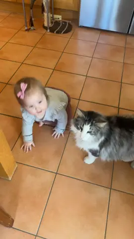 Playing with a new friend 🐈 and trying to communicate 🗣️ #baby #cat #babyandcat #playing #funnnycat #momtok #babyfever #babiesoftiktok #babiesontiktok #cutebaby #fyp #fypシ゚viral #babylove #fypage #fypシ゚ 