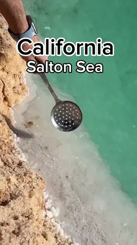 #sea #saltonsea #salt #usa #foryou #california #snow 