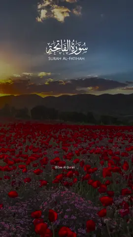 Surah Fatihah Beautiful Recitation. YouTube (Zee Al Quran) #allah #zeealquran #quran #viral #fyp #alquran #recitation #tilawet #beautifulquranrecitation #alfatihah 