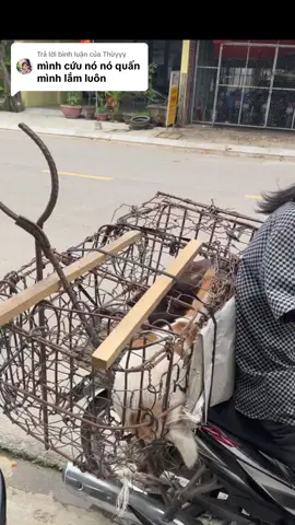 Trả lời @Thùyyy 