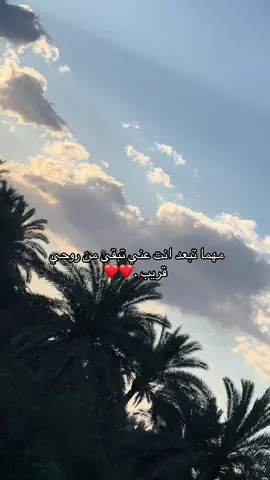 ابد مو سهلة 😞🥀 #CapCut #fyp #foryou #music #m #viralvideo #video #جي_فاير_ملك_الاحساس💕👑 #اغاني_حزينه #ذكريات #الشعب_الصيني_ماله_حل😂😂 