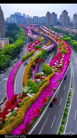 Beautiful Pékin #garden #nature #gardening #beautiful #beautifulview #spring #view #views #rose #roses #flowers #flower #city #china #pekin 