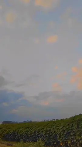 anu mau sore🌞 #redautentic #kenanganbapak #carrysimple #carryfuturamodification #carryfuturamodifikasi #carrymodifikasisimple #soundviral #trendtik #fypviraltiktok #fypage #fypシ 