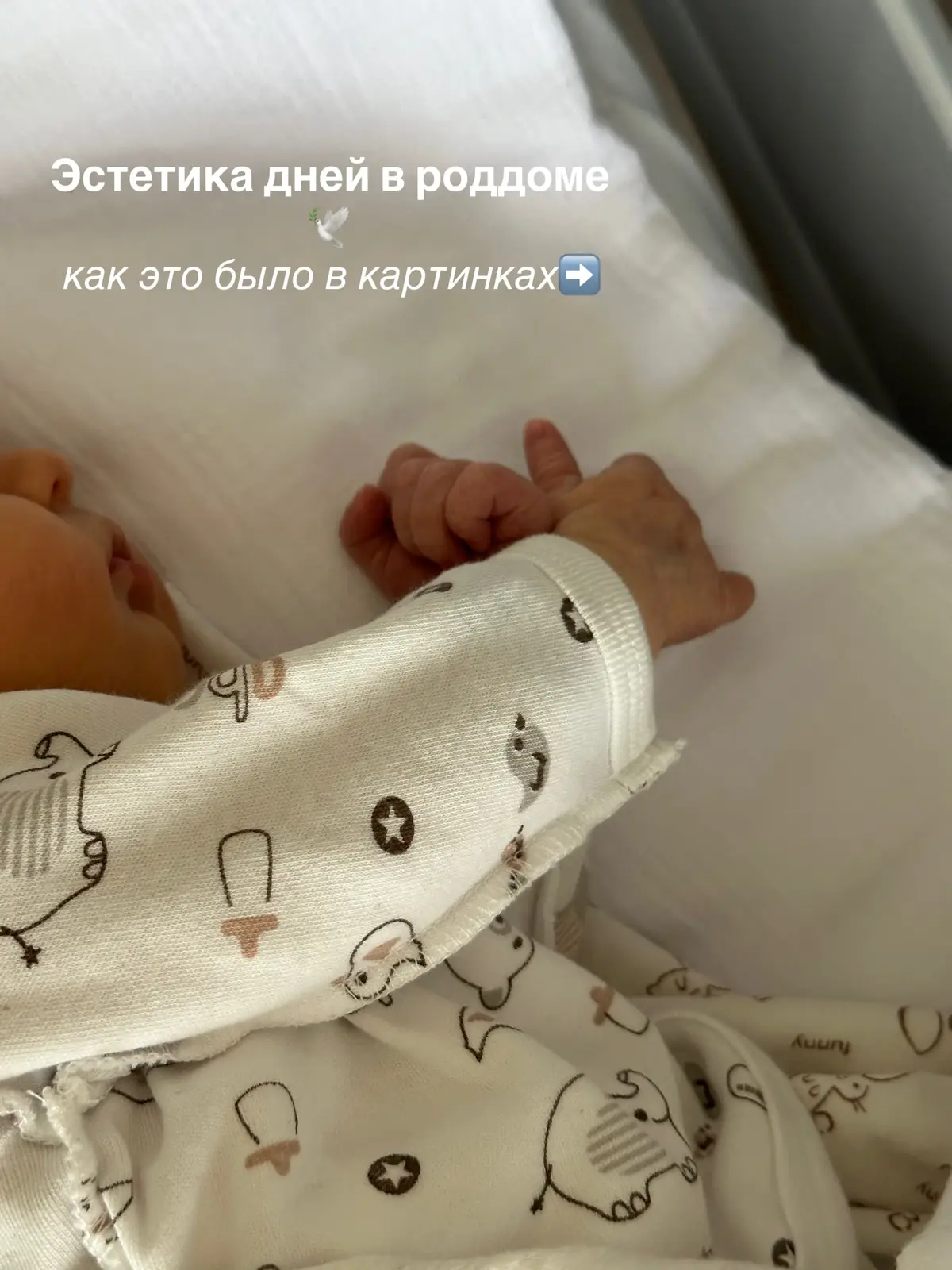 #роддом #роды #материнство #новорожденный #newborn #рождениеребенка #молодыеродители #материнствотикток #беременность #momlife #MomsofTikTok 