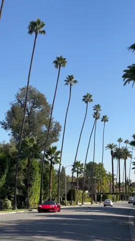 the city of angels 🪽 #losangeles #la #losangeleslife #thecityofangels #losangelescalifornia #losangelesaesthetic #losangelescheck #losangelestiktok #california #californialove #californiadreaming #californialife #usa #usalove #evasionsusa #travelbucketlist #cityofangels 