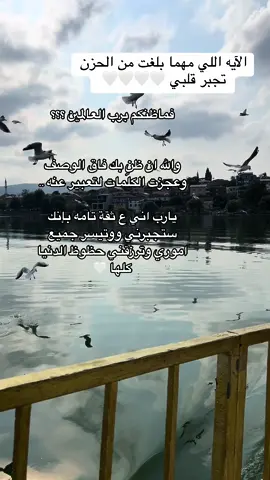 فماظنكم برب العالمين ؟ #اكسبلور #استغفرالله #ظنكم_برب_العالمين #دعاء #خاطره #استغفرالله #يارب #بكاء #آية #قارئ #قران_كريم_ارح_سمعك_وقلبك #صوت_من_الجنه💖💖 