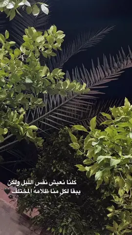 كلنا نعيش نفس الليل ولكن يبقا لكلٍ منا ظلامهُ المختلف 🖤#لو_مر_الليل_يواسيني #هيثم_يوسف #ليل #اكسبلور_explore 