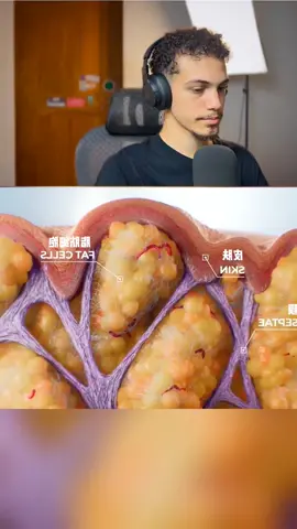 How can fat be excreted from the body? #tiktok #bobsciences #health 
