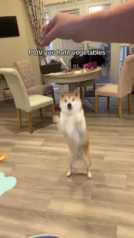 hates getting her 1 a day.