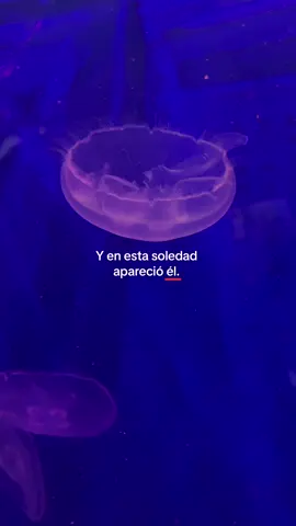 #fyp #paratiiiiiiiiiiiiiiiiiiiiiiiiiiiiiii #parati #popular #amor #yo #identificarse #textorojo 