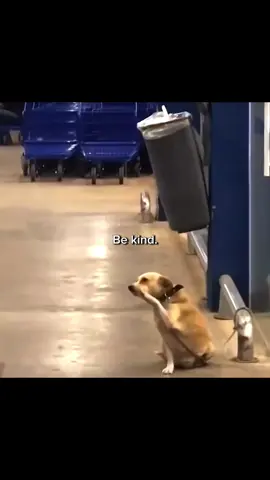 #positivity #hopecore #core 