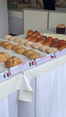 fete du pain bread festival in paris 2024 from may 7 to may 16th infront of the notre dame 🥖🍞🥯🥐 @Ville de Paris  #bread #fetedupain2024 #paris #paristips #baguette 