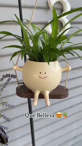 #swingfaceplanters #plantpot #fy #maceta #culumpio #PlantTok 🪴#tiktokshop #parati #fypシ゚viral 