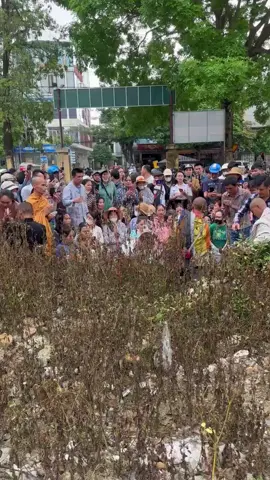 Mùng 1/4 sớm mai , hữu duyên gặp được thầy @Thầy Thích Minh Tuệ -Mới Nhất ở thành phố Thanh Hóa . Chúc thầy vạn dặm bình an 🥰 #xuhuong #tiktok #NhanVatChinh 