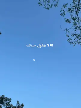 دنيتي اتغيرت من يوم ما شوفت عينيك انا ✨ #viral #fypシ #foryoupage #تيك_توك #حالات_واتس #اكسبلور #حماقي #محمد_حماقي #hamaki 