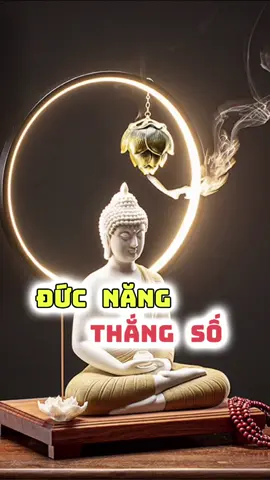 Đức năng thắng số. #phatphapnhiemmau #adidaphat #loiphatday #phatphap #phatgiao #phatphapvadoisong #phatphapvobien #giacngo 