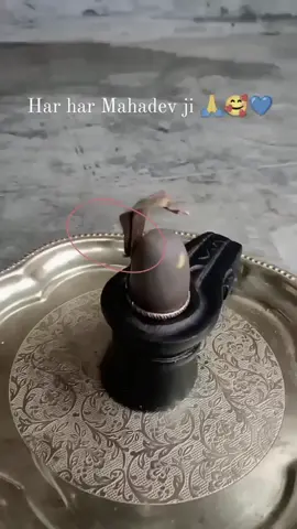 #হরহরমহাদেবॐॐ🌺🔱🕉️🙏🙏🙏 #সনাতনধর্ম🙏 #সনার্তনীভিডিও🙏🔱 #foryoupage #foryou #৩বার_কপি_লিংক_করুন_প্লিজ🙏😢 #আমারআইডিটা_ফিউজ_হয়ে_গেছে_ #সনাতনধর্ম🙏 @For You House ⍟ @TikTok Bangladesh @TikTok @For You @sowrov .  sutradhar @sowrov .  sutradhar @sowrov .  sutradhar #চাঁদপুরের_পোলা_আমি🤟👑🤙 