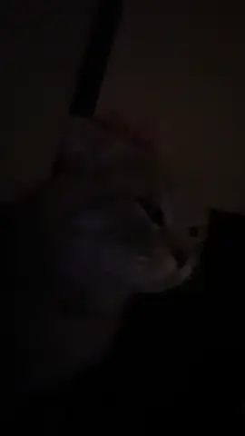 Gọi dạ bảo vâng 🫶🏻#góccualo #xuhuong #viral #fyp 