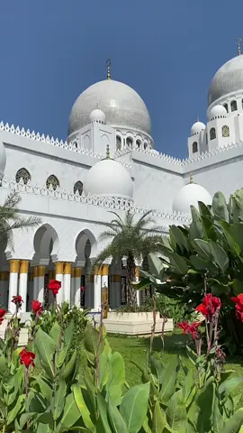 📍Masjid Raya Sheikh Zayed, Solo #masjid #masjidsheikhzayed #masjidsolo #wisatasolo #fyp #fypシ 