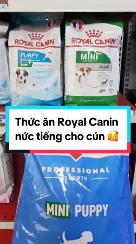 Royal Canin cho cún nức tiếng vì hương vị thơm ngon đây các bạn ơi 😍 #thucancho #royalcanin  #minipuppy #miniadult #kunmiu #kunmiupetshop  #viral #trending #xuhuon