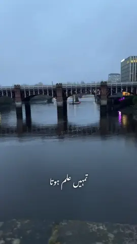 Kash hum bhi tmhare jese hote #foryou #foryoupage #trending #goviral #viral #virall #viralvideo #tiktok #fyp #fy #fypシ #fypシ゚viral #fypage #fy #fup #fupage #views #100k 