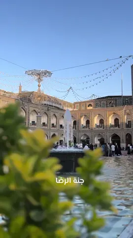 جنة الرضا❤️ #مشهد #الامام_الرضا #مشهد_المقدسة #ايران #رضا_جان #ايران #جنة_الرضا #امام_رضا 
