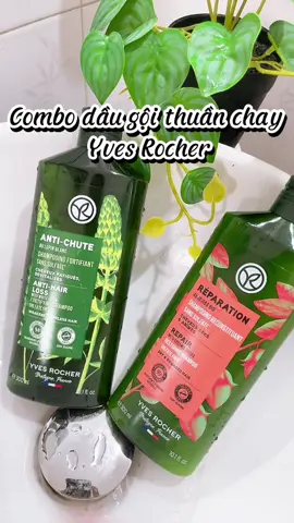 Có ai đang dùng giống mình không ạ ? #yvesrocher #daugoiyvesrocher #thuanchay