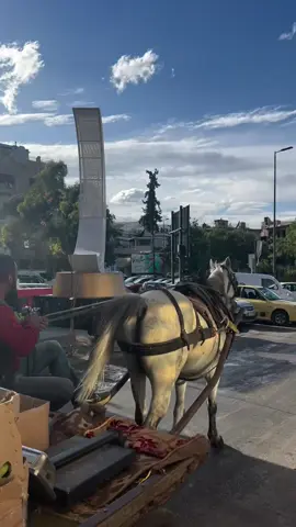 تفاصيل دمشقية  #سوريا #الشام #دمشق  #syria #sham #livelovesyria 