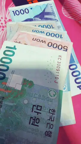 ជិតដល់ថ្ងៃទៅវិញ តាំងអង្គុយរាប់លុយ សល់ប៉ុណ្ណឹង ចាយគ្រាន់អត់សំរាប់ទៅមក ហាហាហា 