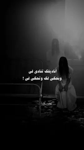 #بدر_الليمون #شعبي #اكسبلورexplore #الجزء_الخامس 