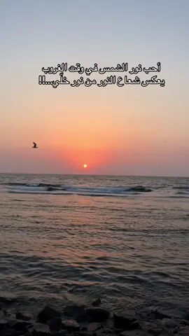 مساء الخير والسعاده #جدة #تصميمي #مساء_الخير #ترند_تيك_توك #ترند #شعب_الصيني_ماله_حل😂😂 #السعوديه #الرياض #الرياض #تصويري #جده #لحظات_الغروب #الغروب #غروب_الشمس #شاطئ #موج_البحر #جدة #جده #مساء_الخير 