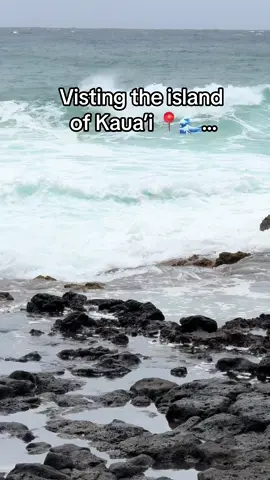 Kaua’i was such a beautiful place and a interesting fact i learned from the locals is that kaua’i is the wettest island out of them all ! #sheratonkauaicoconutbeach 