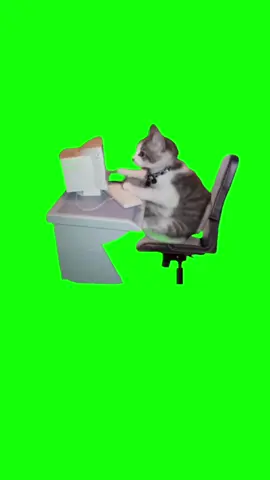 ◼︎素材◼︎パソコン #shorts　#猫ミーム　#猫マニ　#パソコン　#パソコンカタカタ
