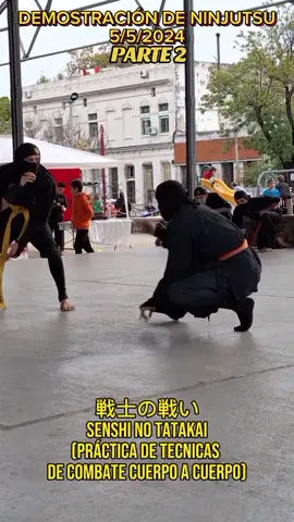 fragmento de nuestra demostración de ninjutsu llevada a cabo el día 5/5/24 en el evento llamado 