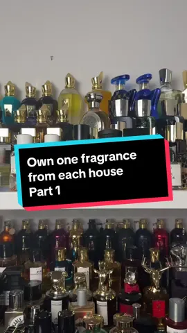 Which ones would you own?!? #fragrance #designerperfume #foryoupage #perfumetok #niche #howtosmellgood #nichefragrance 