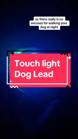 No excuses for not walking the dog at night with this touch light retractable dog lead! 🐶 🐾  . #pettok #dog #dogs #doglead #leddogleash #dogleadlight #lightuodoglead #petcare #touchlight #dogleash #catlead #retractablelead #petaccessories #bordercollie #pets #pet #dogsofttiktok #fyp #viralpet #tiktokmademebuyit 