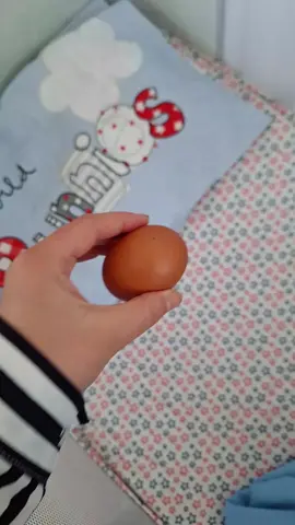 Minik Civcivim🐣🐥🐤 #civcivimmm #oğlum #dünyam #evlatsevgisi #kesfetacilartik #mybrawlsuper #fypシ #keşfet #tiktok #begeni #